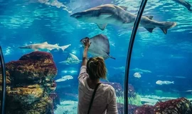 Hurghada Grand Aquarium Tour